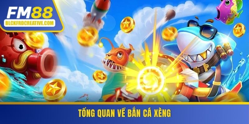 Tổng quan về bắn cá xèng