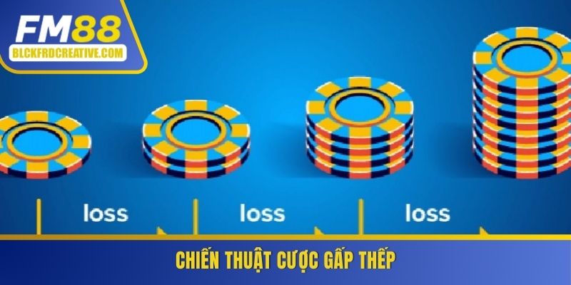 Cược gấp thếp - Chiến thuật được nhiều người tin dùng