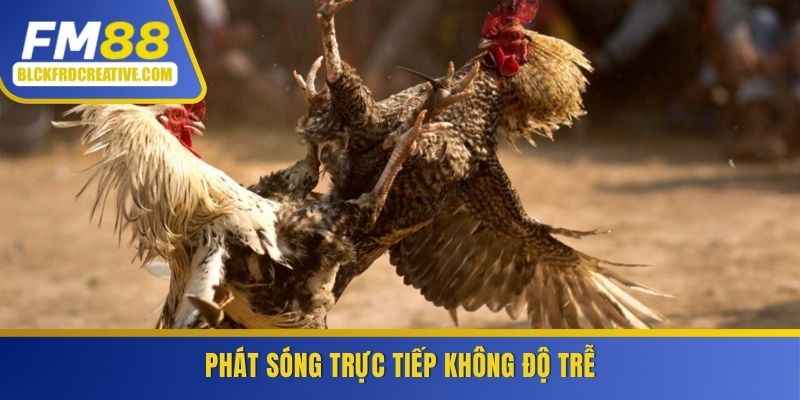 Phát sóng trực tiếp cực hấp dẫn