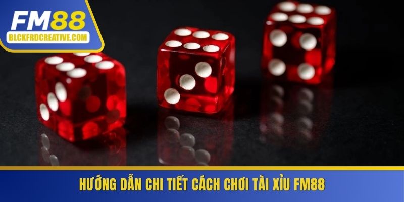 Hướng dẫn chi tiết cách chơi tài xỉu FM88