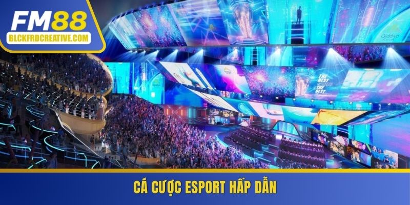 Cá cược esport hấp dẫn không thể bỏ qua