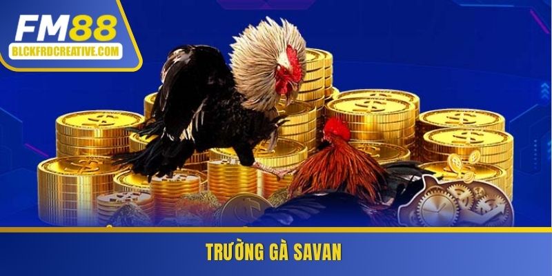 Trường gà Savan